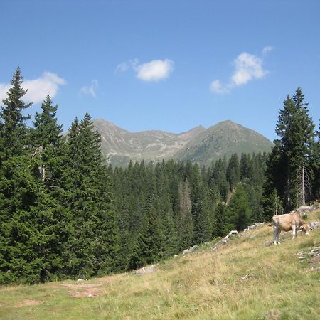 Fewo Windbichl Parcines Luaran gambar